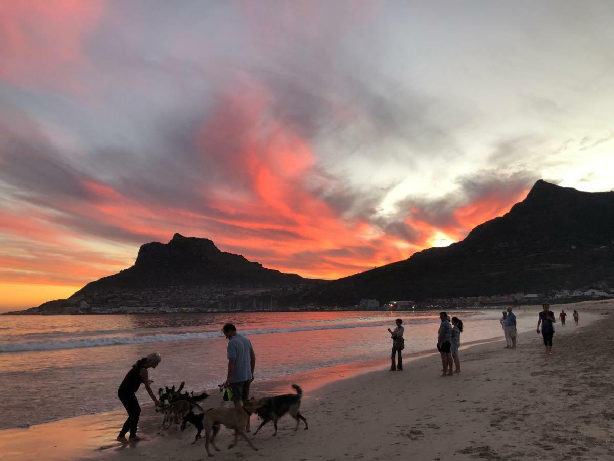 Studio On Albert, Hout Bay Eksteriør billede